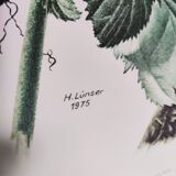 Botanical plates