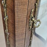 Louis XV style curved display case