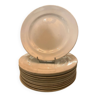 Lot de 12 assiettes  plates blanches Churchill