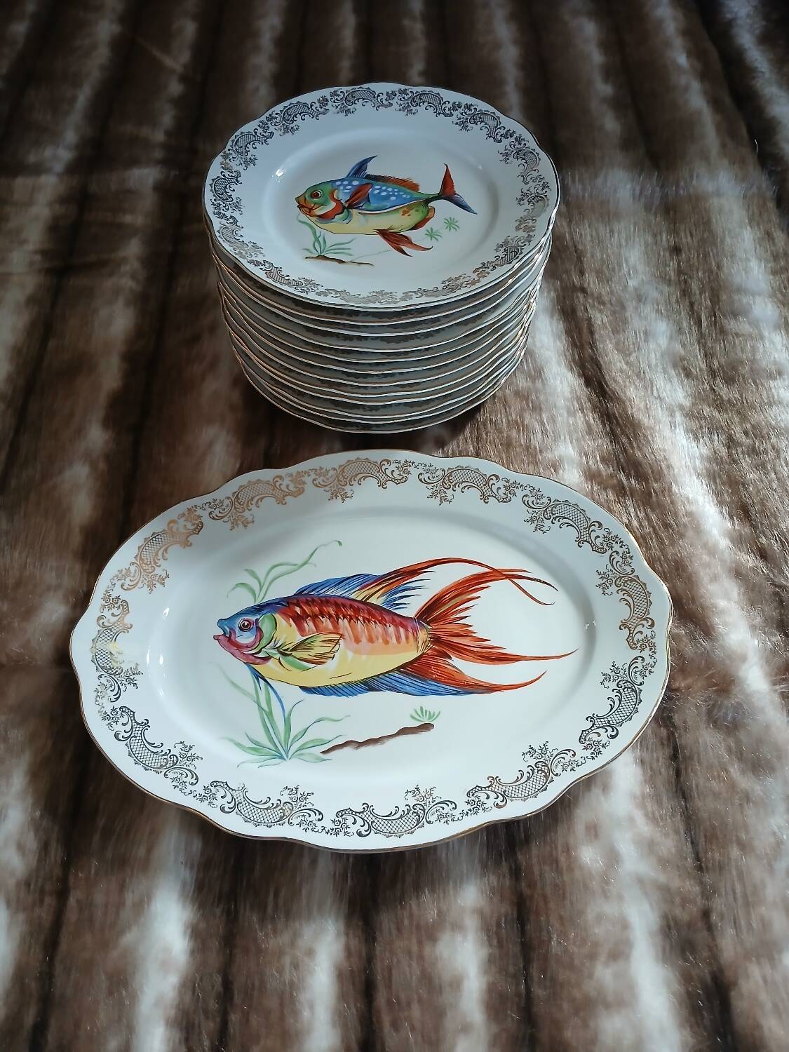 12 antique "Royal" dinner plates + 1 dish