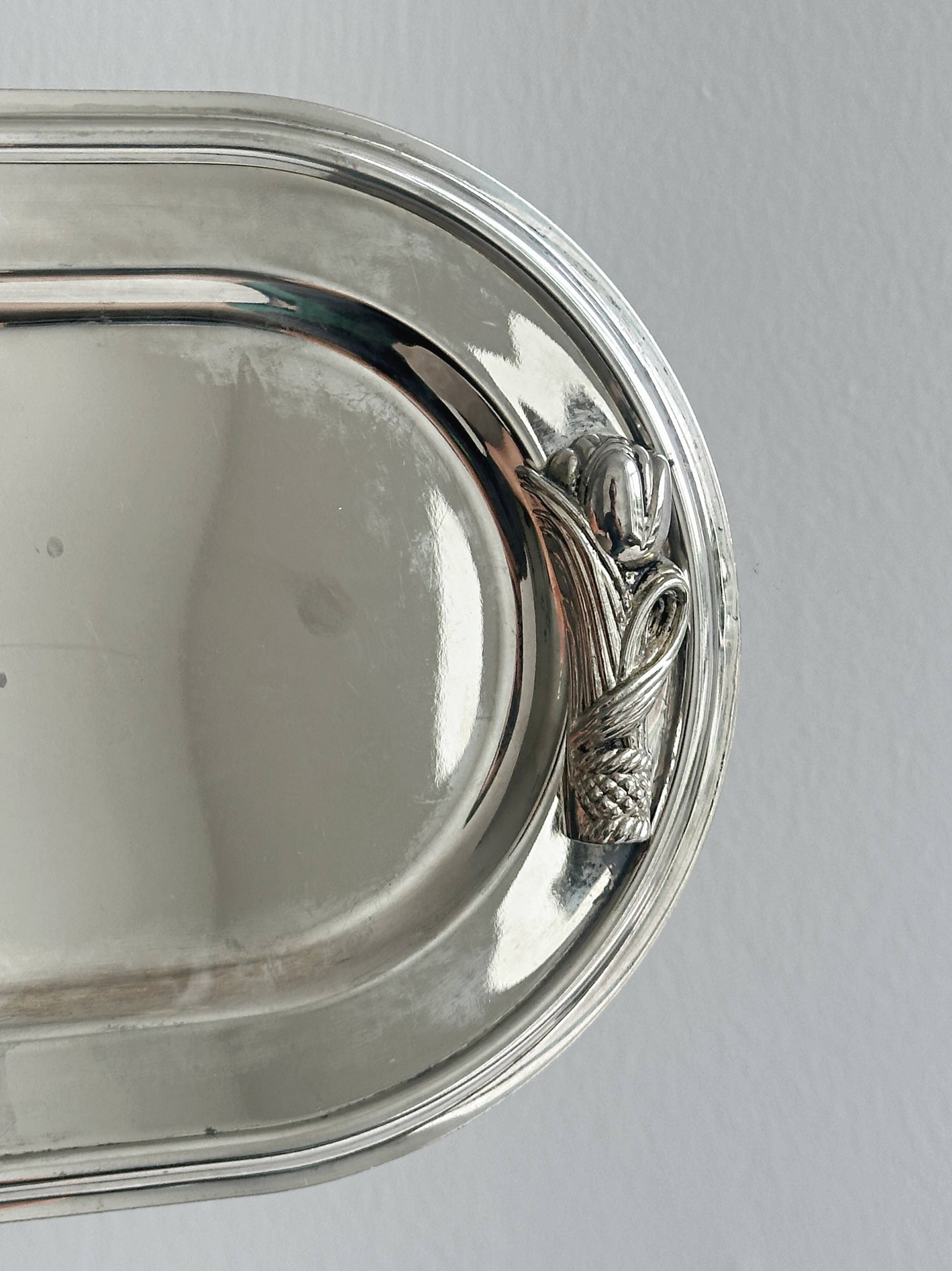 Oval metal stainless steel tray