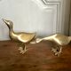Brass duck couple