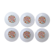 6 flat plates