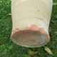 Terracotta potiche with handles 60s