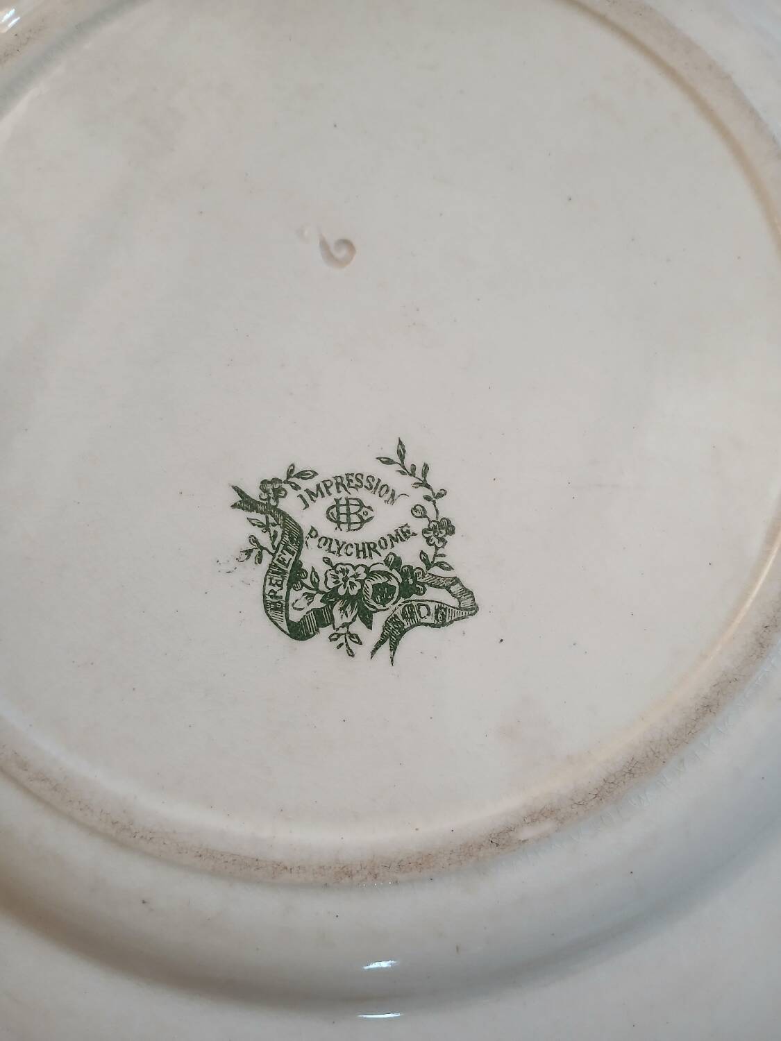 Old polychrome ironstone plate