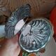 Vintage scallop shell butter dish