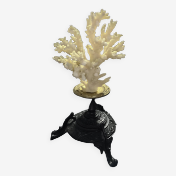 White coral mounted on spelter base for cabinet of curiosities