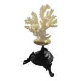 White coral mounted on spelter base for cabinet of curiosities