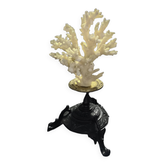 White coral mounted on spelter base for cabinet of curiosities