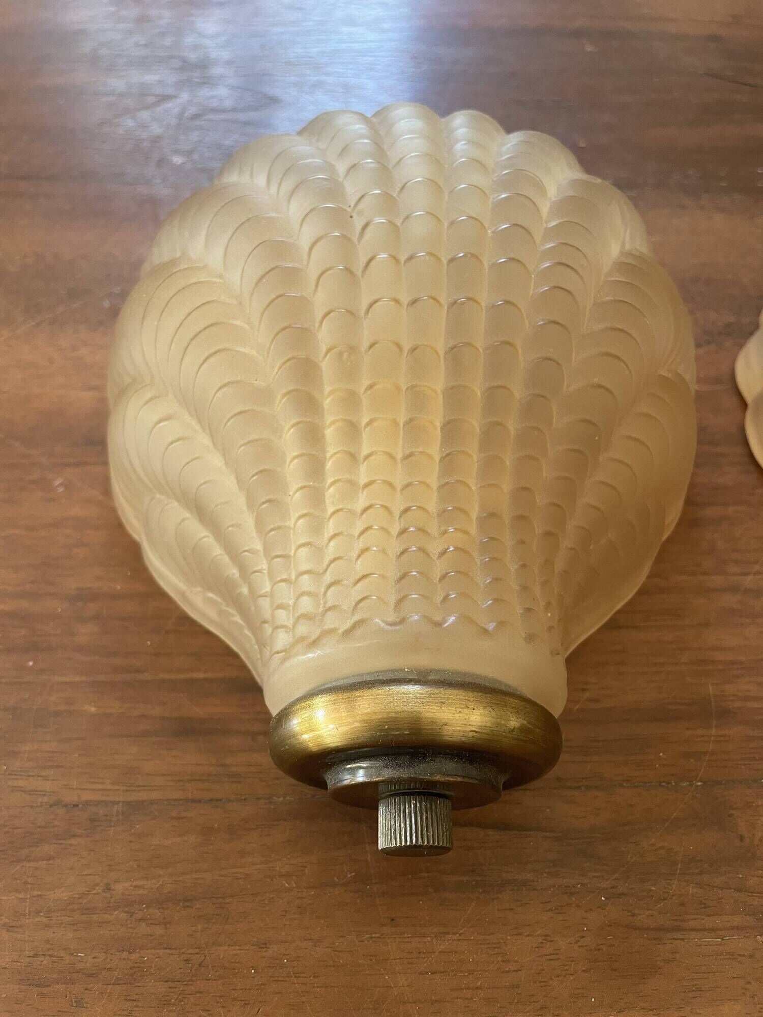 Pair of shell wall lights in frosted glass in Art Deco style.