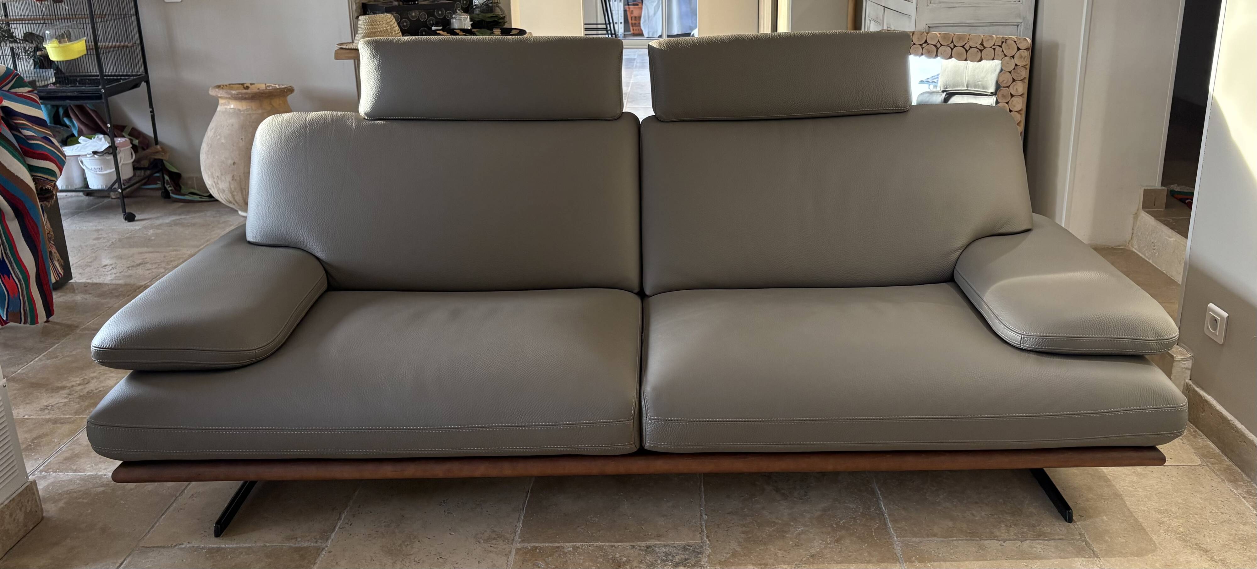 Roche Bobois sofa