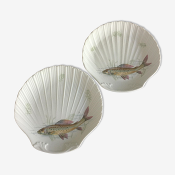 Shell plates for fish