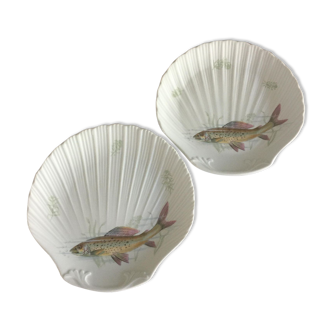 Shell plates for fish