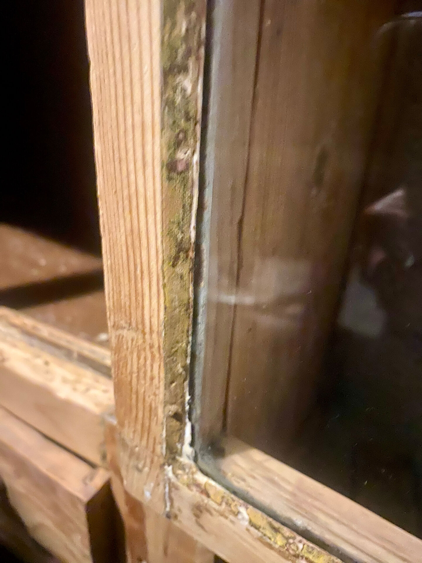 Pine display cabinet