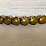 Set of six russian cockroaches