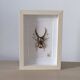 Tableau insecte brodé à la main (pièce unique)