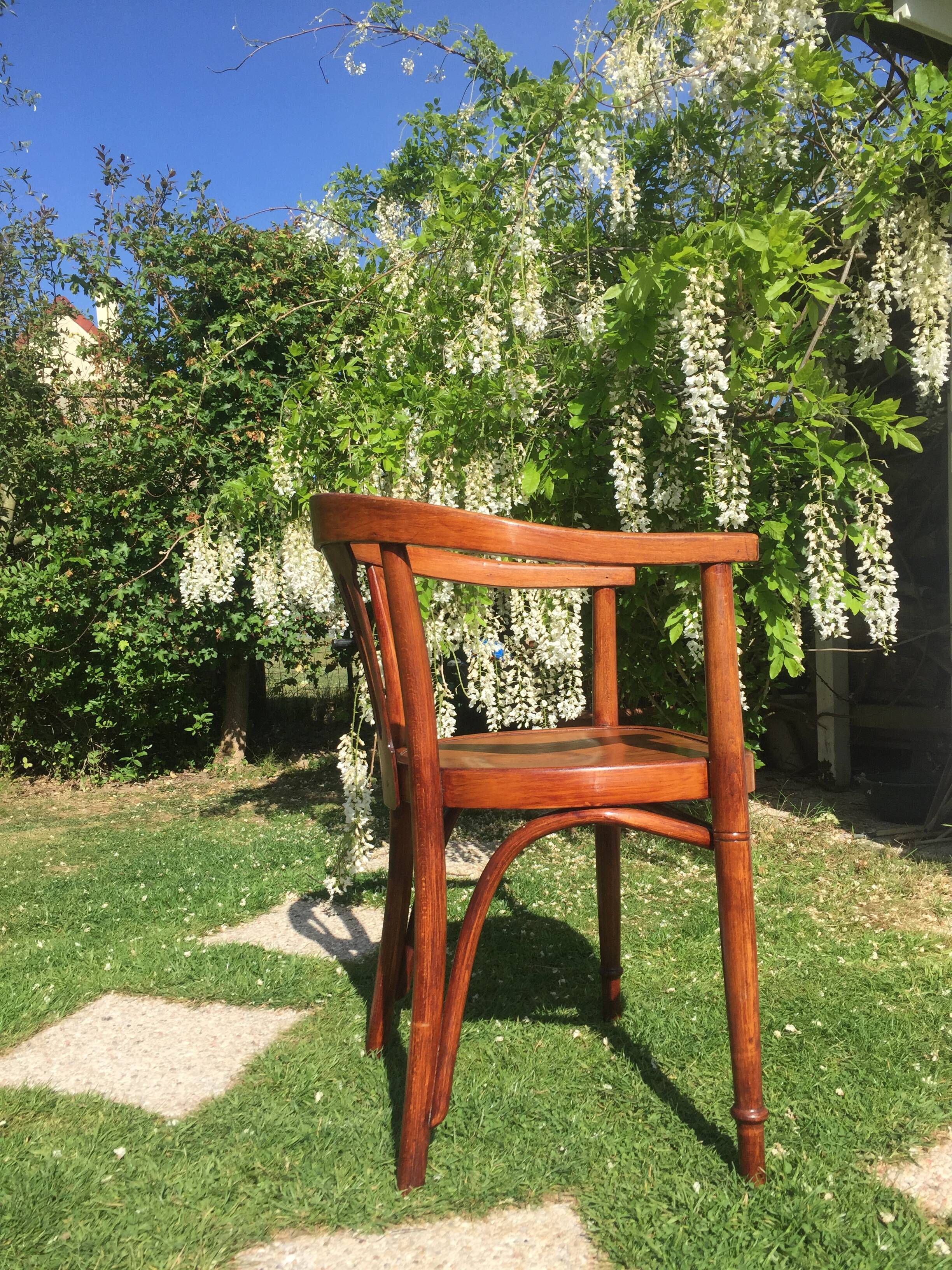 Thonet chair