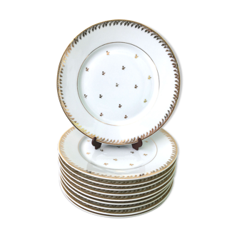 Set of 10 flat plates porcelain from Limoges