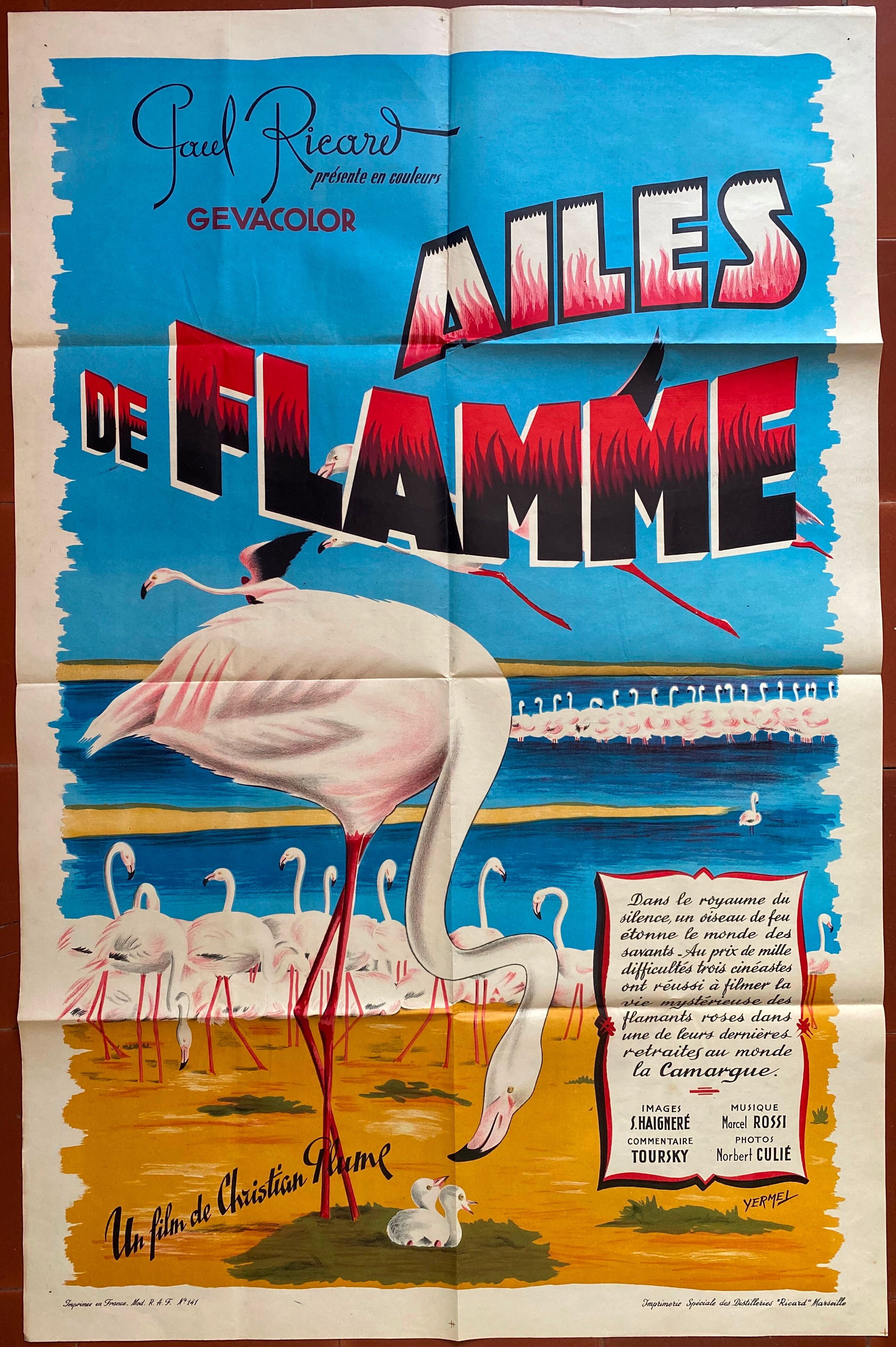 Original cinema poster "Wings of Flame" Camargue 65x100cm 1965