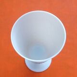 Vase white opaline decoration rosa indica cruenta