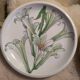 Vintage Ikea plates Spal Portugal