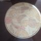 Fiberglass top