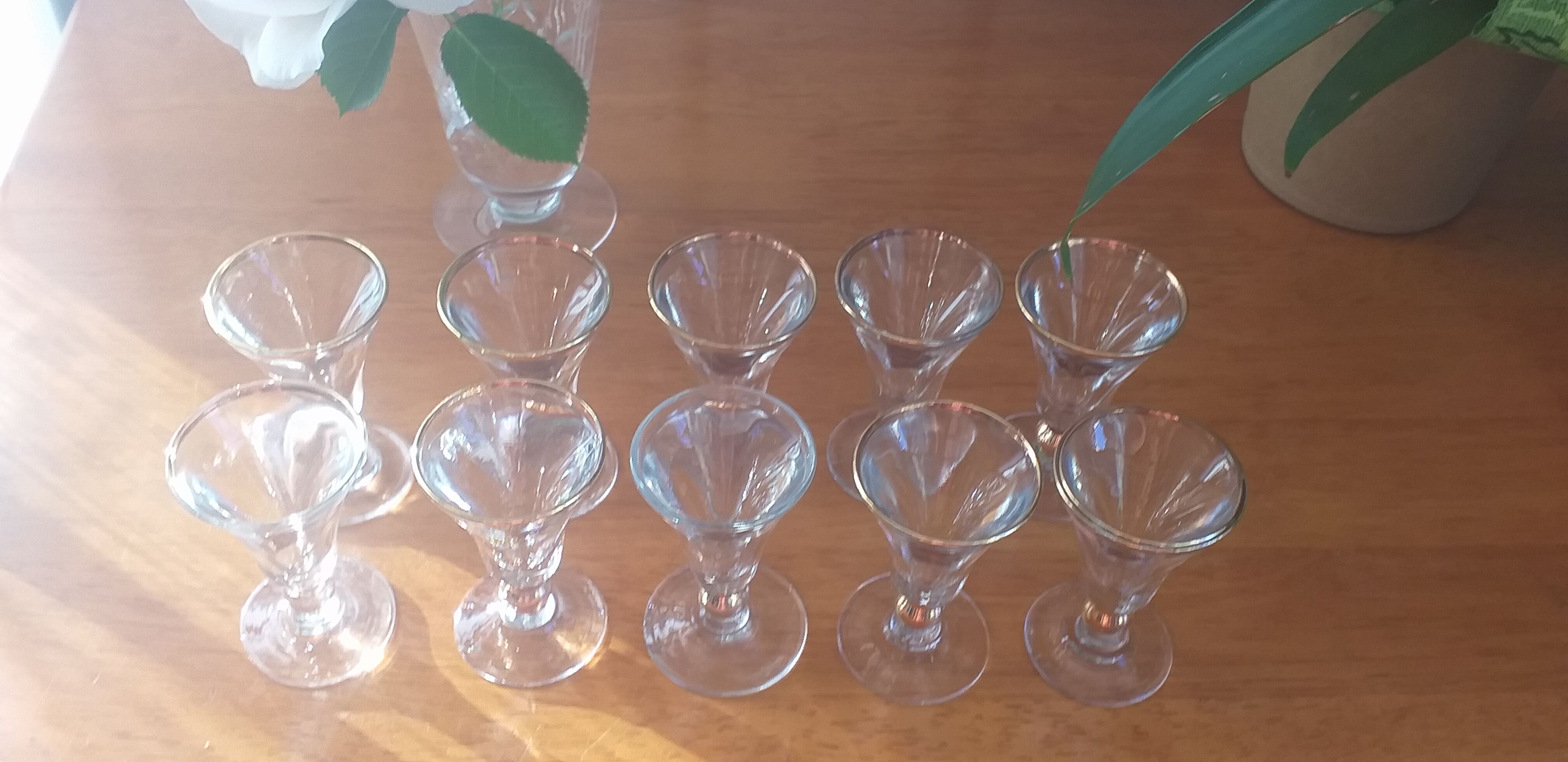 Thick glass liquor glasses