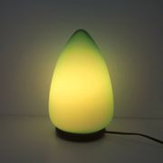 Lampe de table en forme d'oeuf en verre de Murano vert