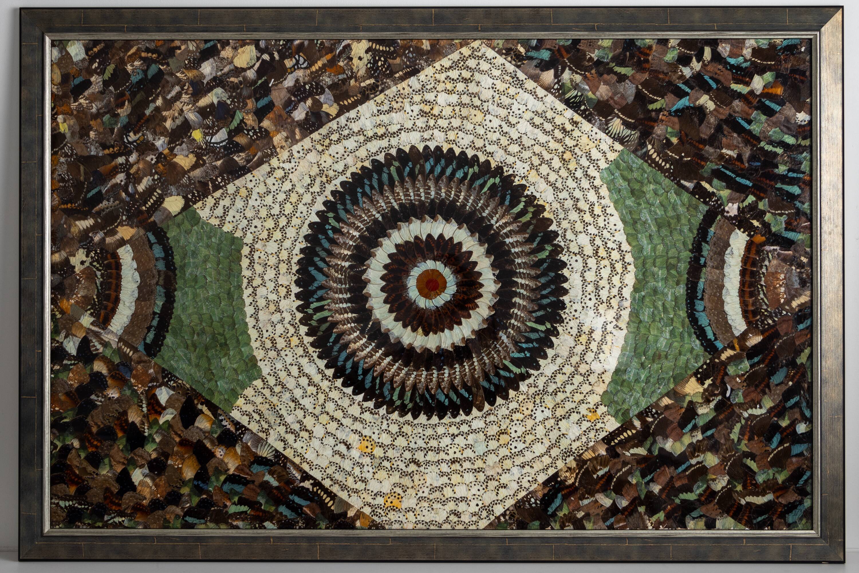 collage in XXL butterfly wings