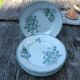 Series 6 tablespoons Plate Iron Earth