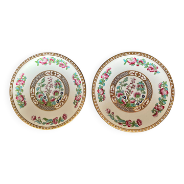 Two English porcelain plates by Bridgewood from the 20th century.