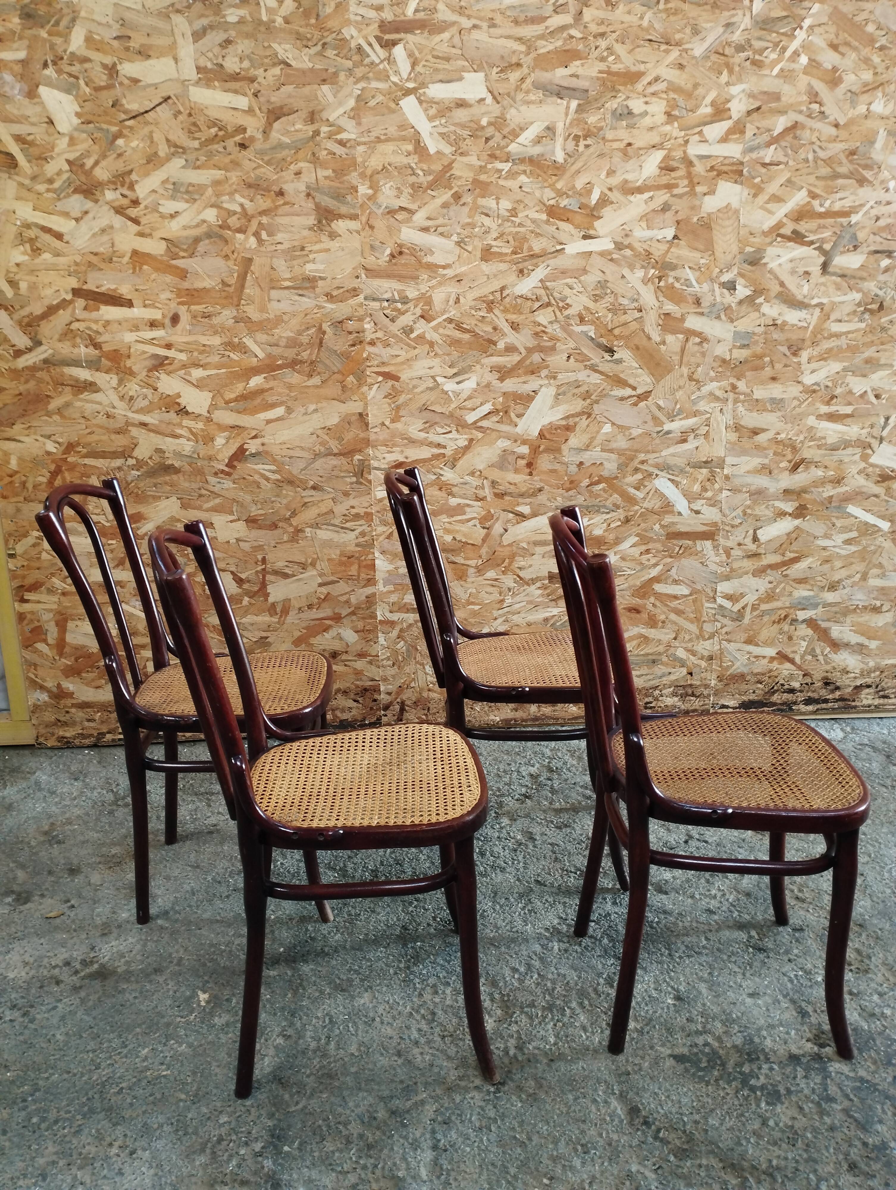 Set of Thonet chairs
