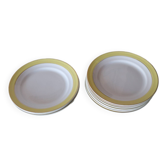 11 yellow plates KG Lunéville France