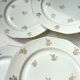 6 Flat plates porcelain white flowers golden Limoges Mehun