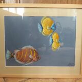 Aquarelle Poissons , H CAMOS