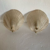 Wall sconces scallop shell