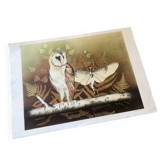 Lithograph (large format) Owl Jobin Paris Grapholith