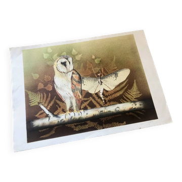 Lithograph (large format) Owl Jobin Paris Grapholith