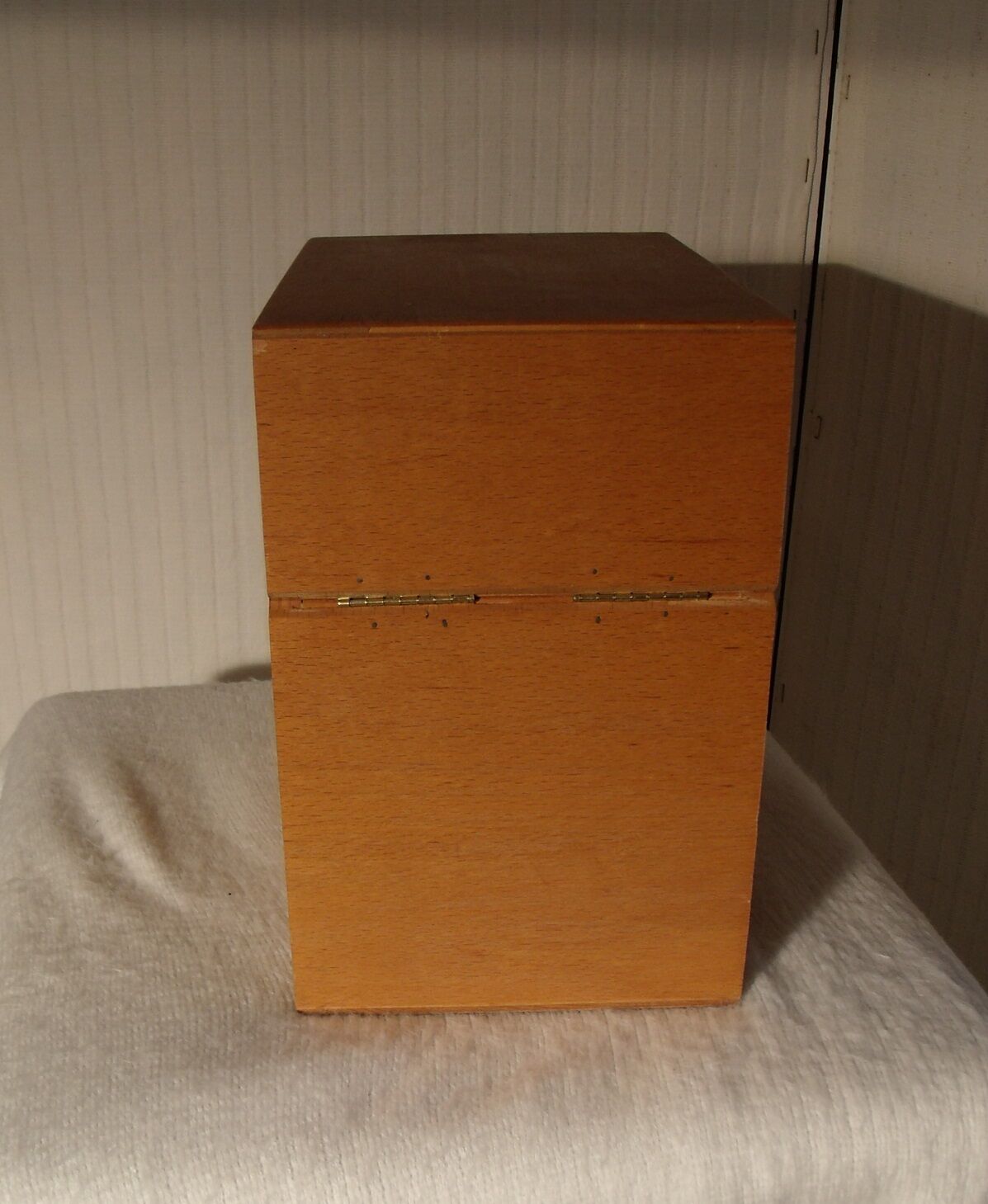 Compartmentalized wooden plug box