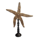 Giant starfish thromidia catalai on pedestal
