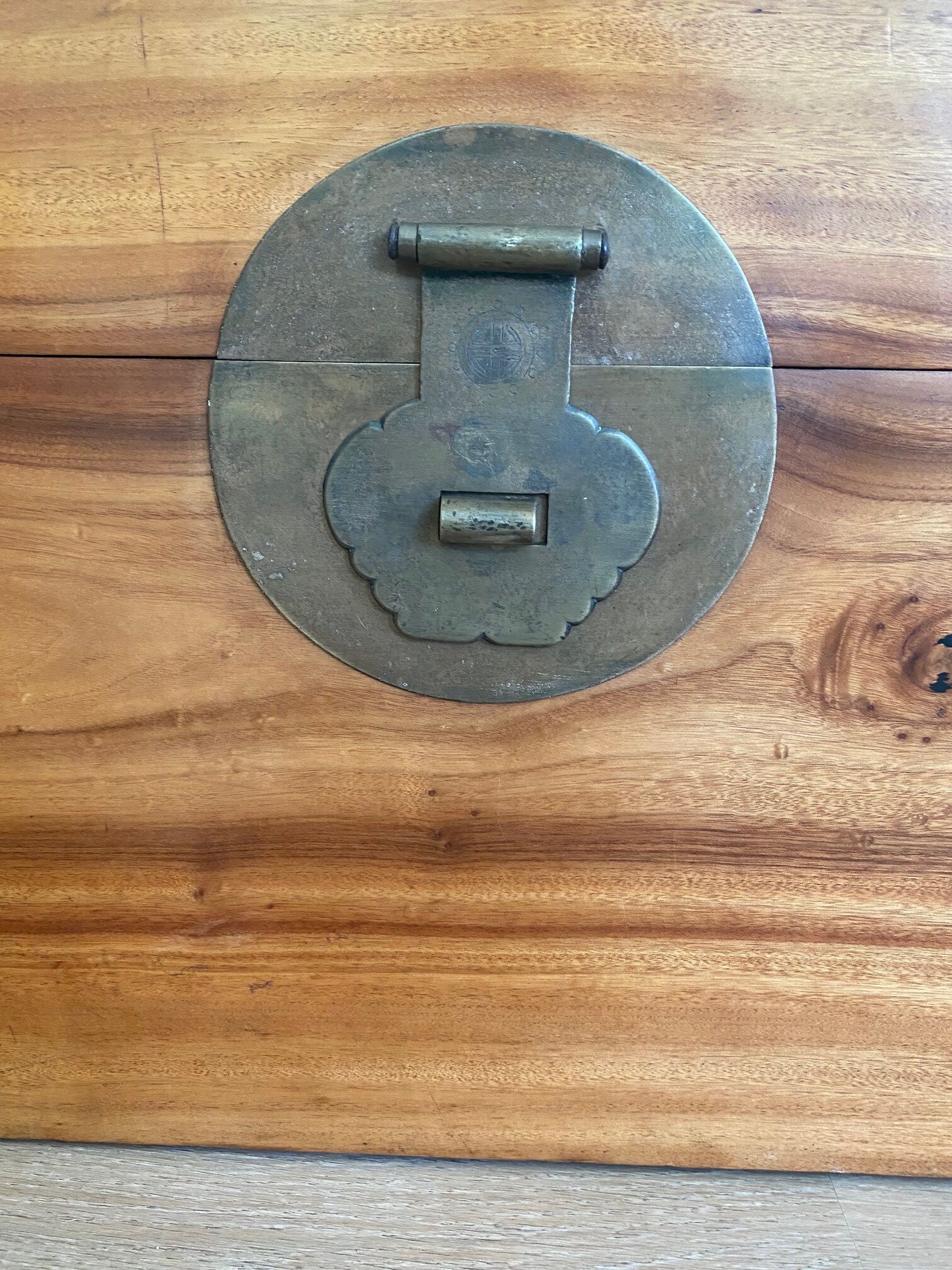 Chinese chest in camphor tree