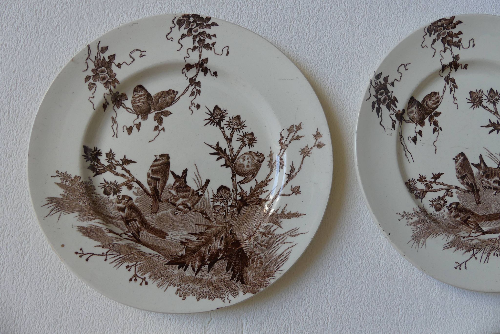 4 plates creil & montereau chardonnerets model with sepia birds decor