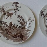 4 assiettes creil & montereau modèle chardonnerets décor oiseaux sépia