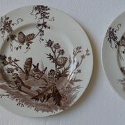 4 plates creil & montereau chardonnerets model with sepia birds decor