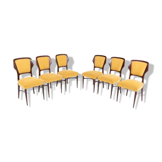 Italian Mid-Century Modern chairs from Vittorio Dassi, 1960s