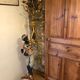 Nubian / Torch door