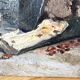 Oil on canvas still life 60s vintage