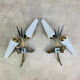 Pair of 1950s wall lights in brass and opaline tulips, Lunel/Arlus