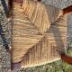 6 old straw chairs