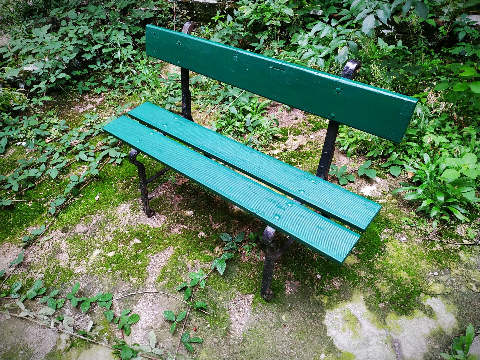 Garden bench wood and cast iron